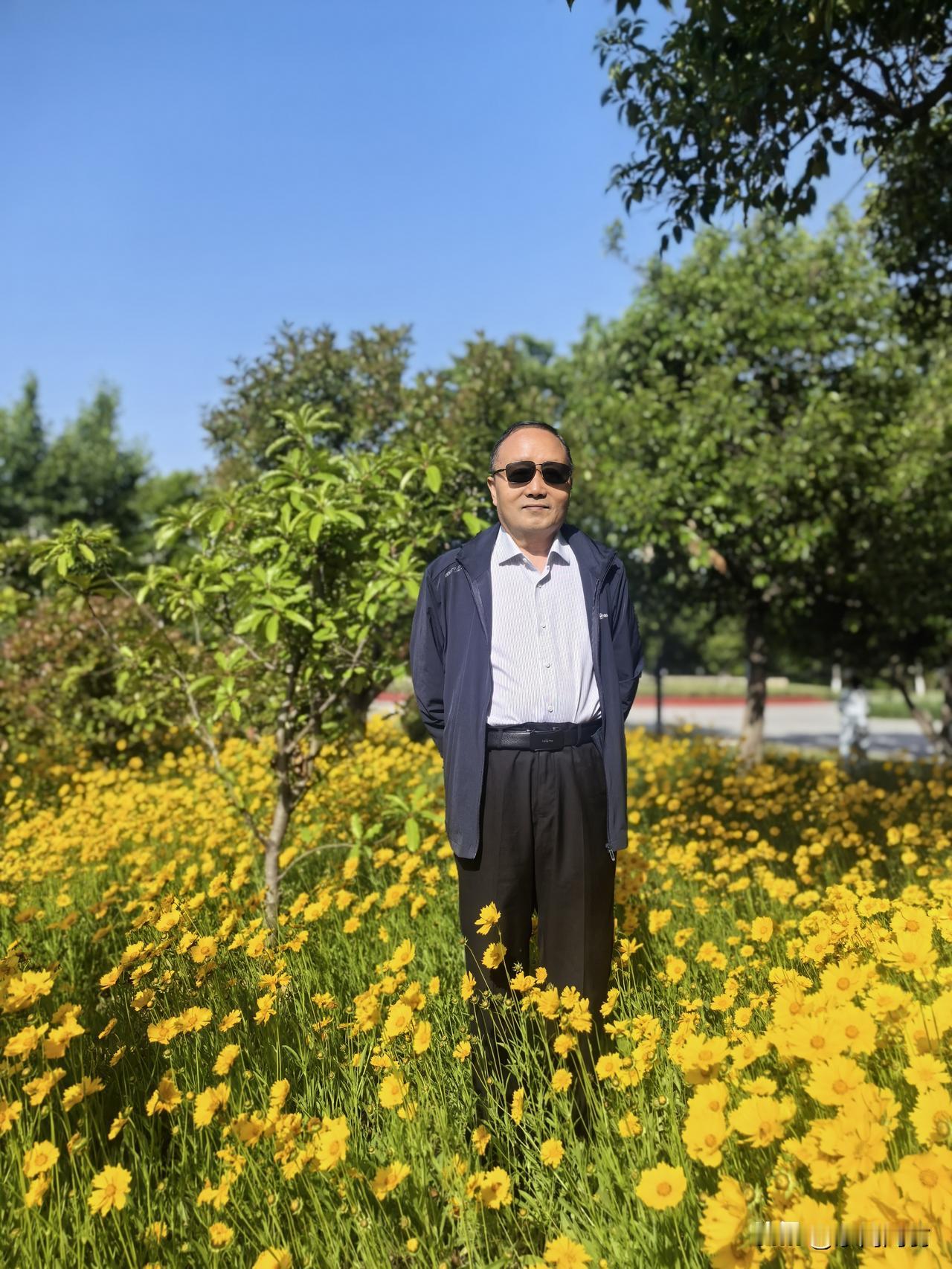 鹧鸪天·咏金鸡菊
                符进朝
漫野金黄映翠廊，柔条风