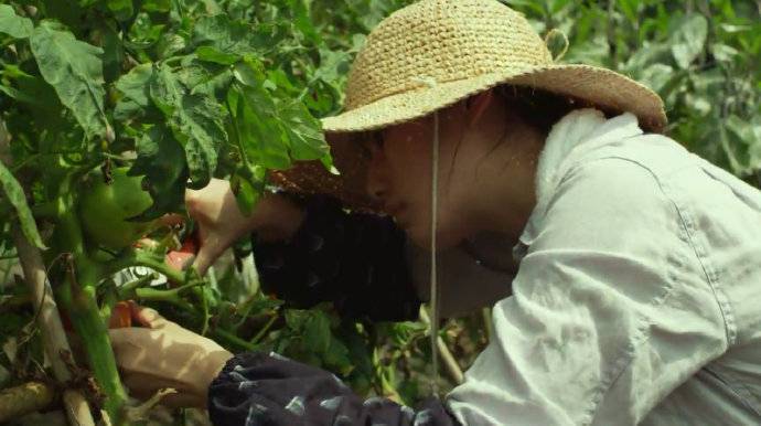 年龄一大，相信的东西就越来越少。 和牙齿磨损一个样。既非玩世不恭， 又不是疑神疑