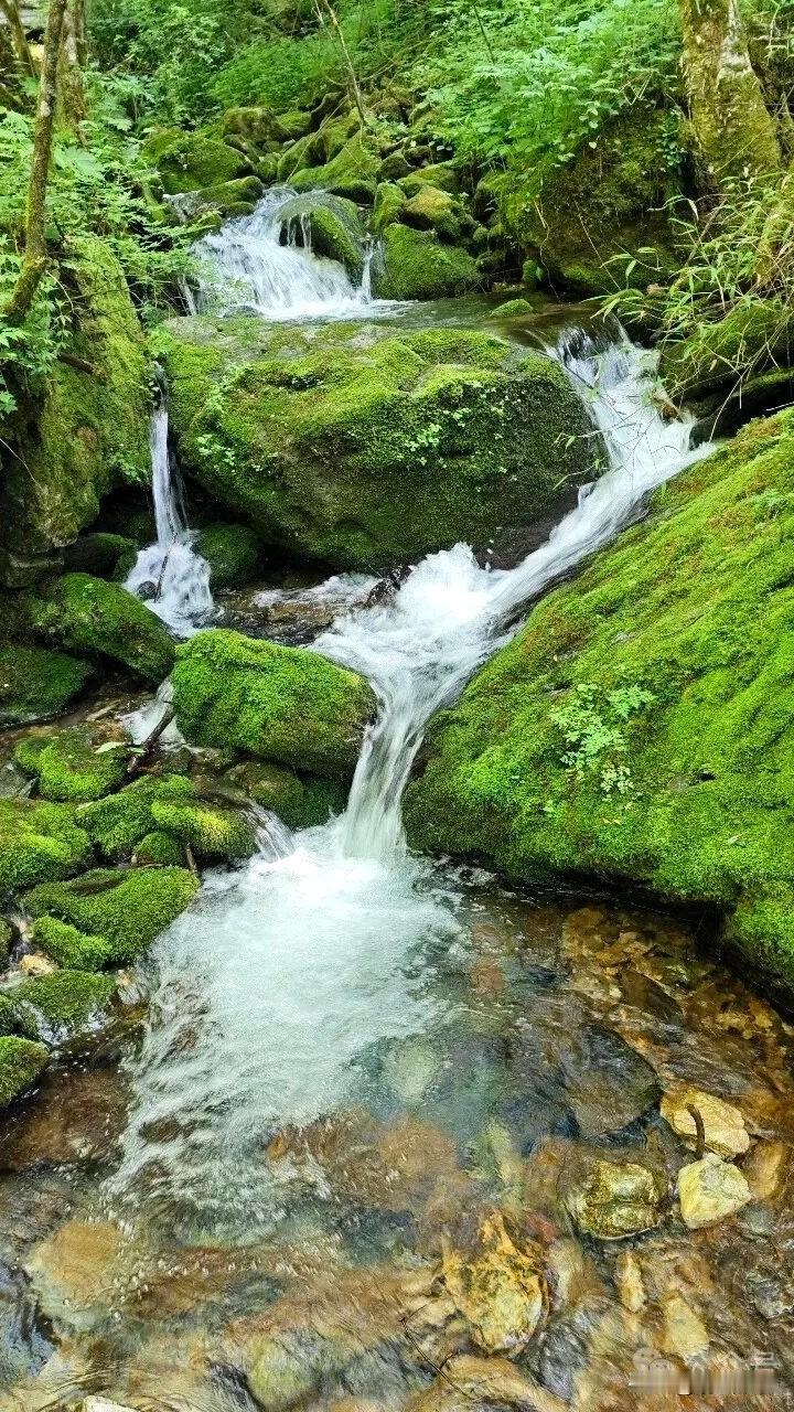 晒图笔记大赛炎热高温天气，最舒服的地方莫过于山区，坐在小溪边，吹吹风，看看景，悠