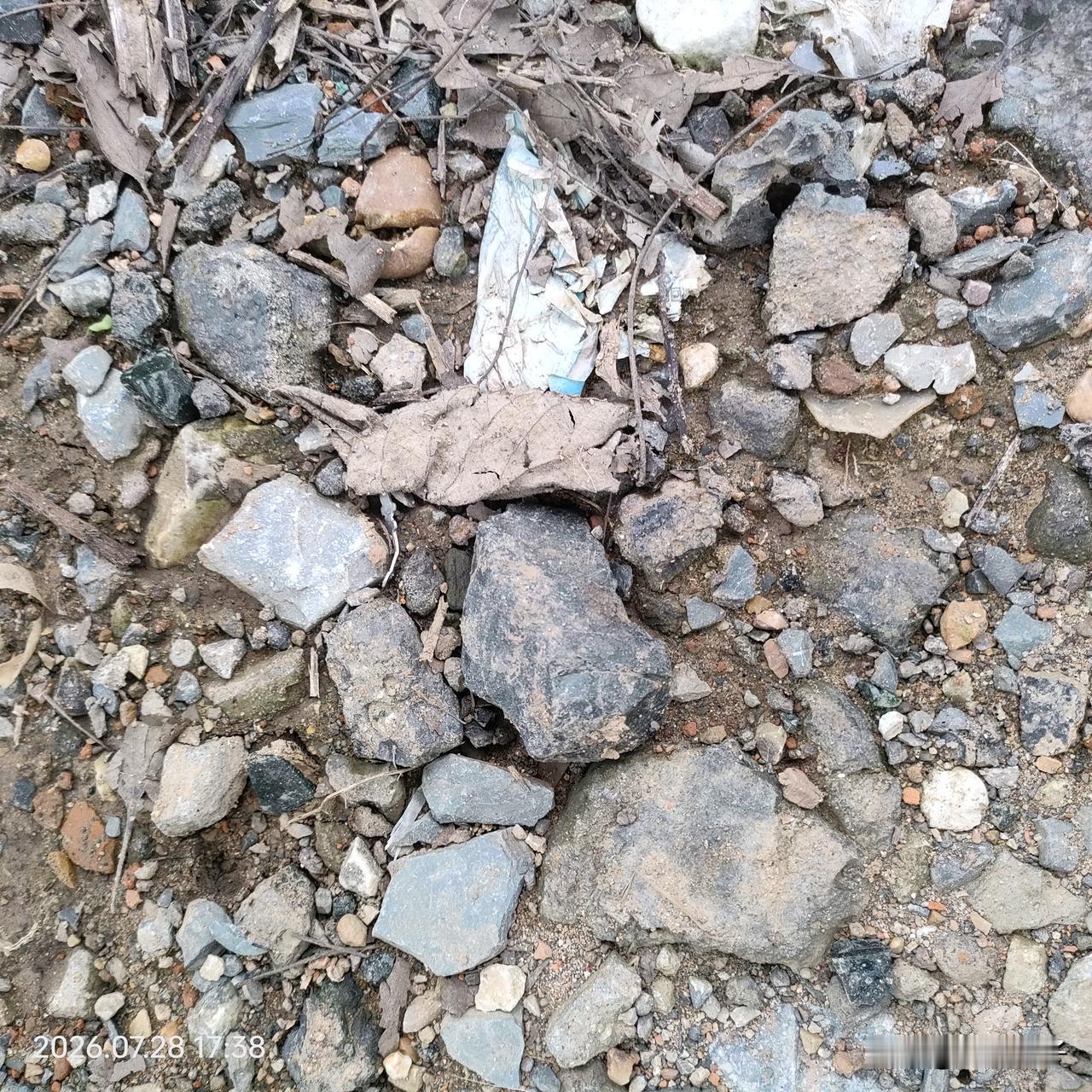 再次前往野外实地巡查，认真查看周边环境。
土中的石块维持原状，留在原地，不予挪动