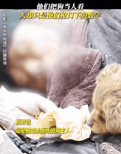 见狗流泪见人举枪  被《南京照相馆》伊藤惊到，口口声声友谊，等级观念比谁都重，伪