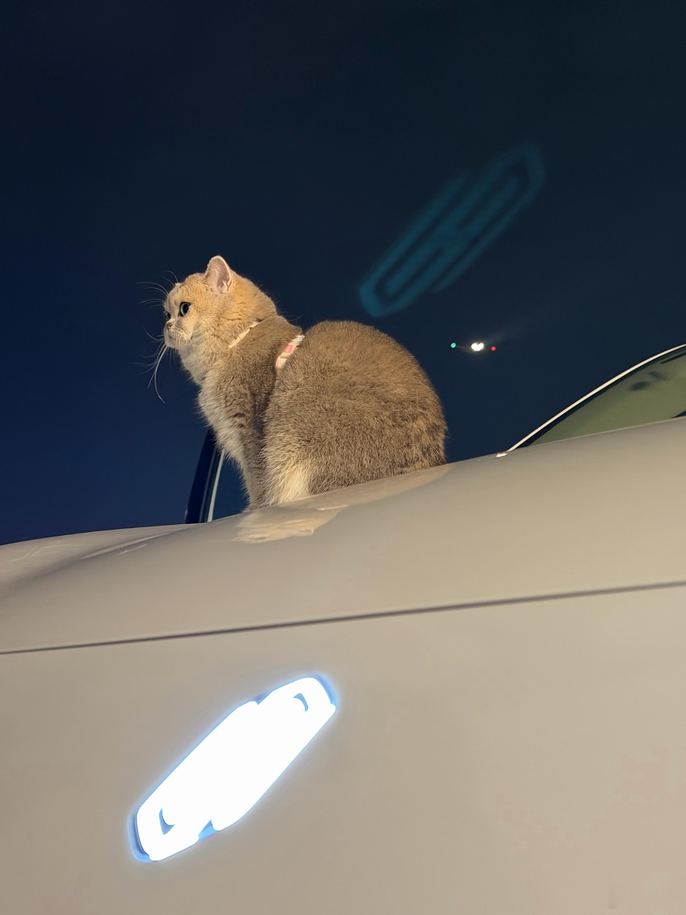 iPhone 的鬼影遇上尚界的 logo，刚好变成妹妹隐形的翅膀