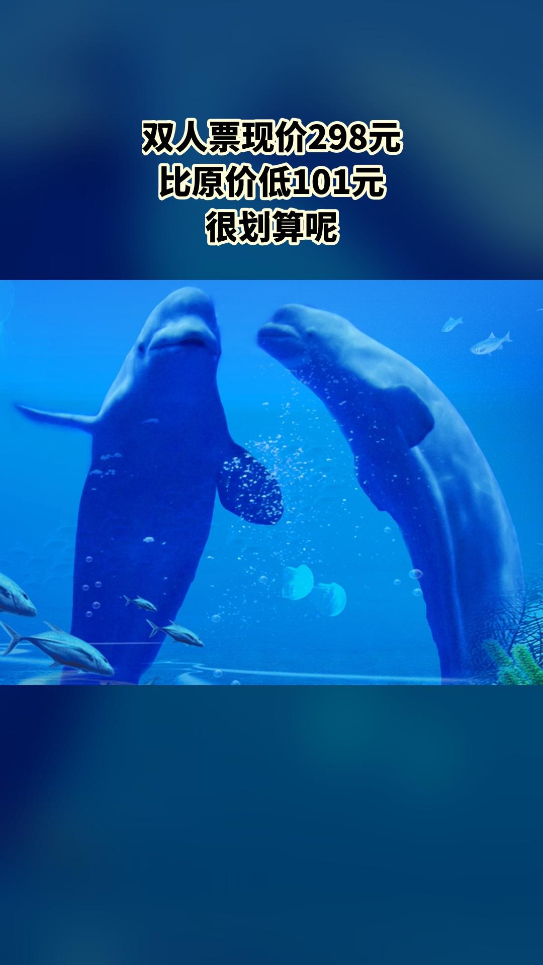 冰雪海洋世界，必买爆款，【双人票】，景区官方、随时退·过期退（注意，叠...