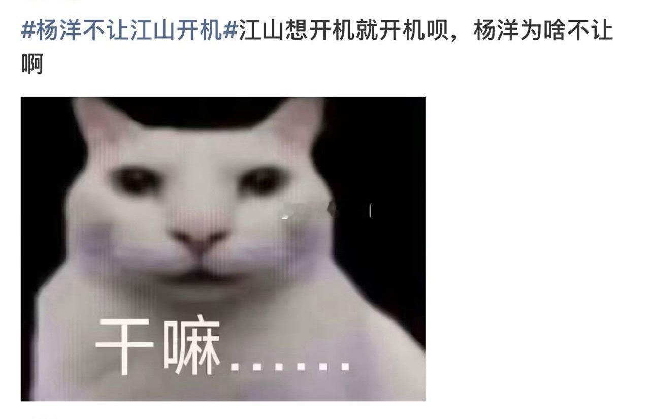 与杨洋无关，杨洋没有不让 