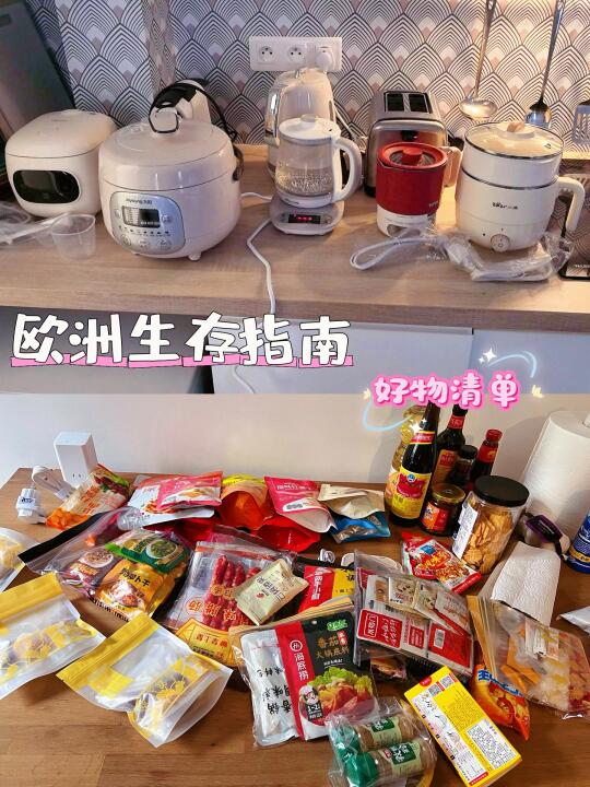 🍜【欧洲生存指南｜留子/外派的中国胃自救法