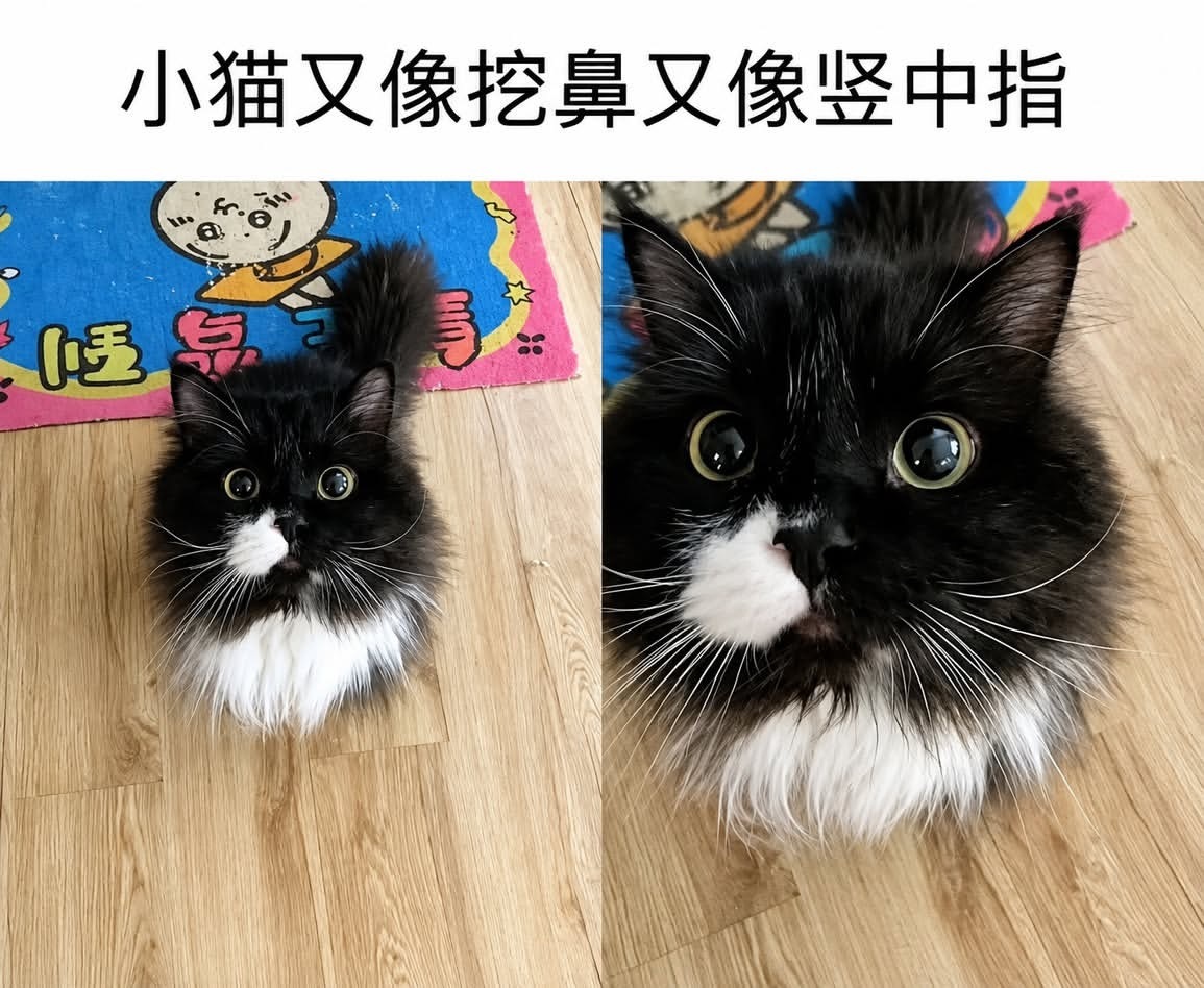 抠鼻屎小猫可爱捏ଲଇଉକmeme