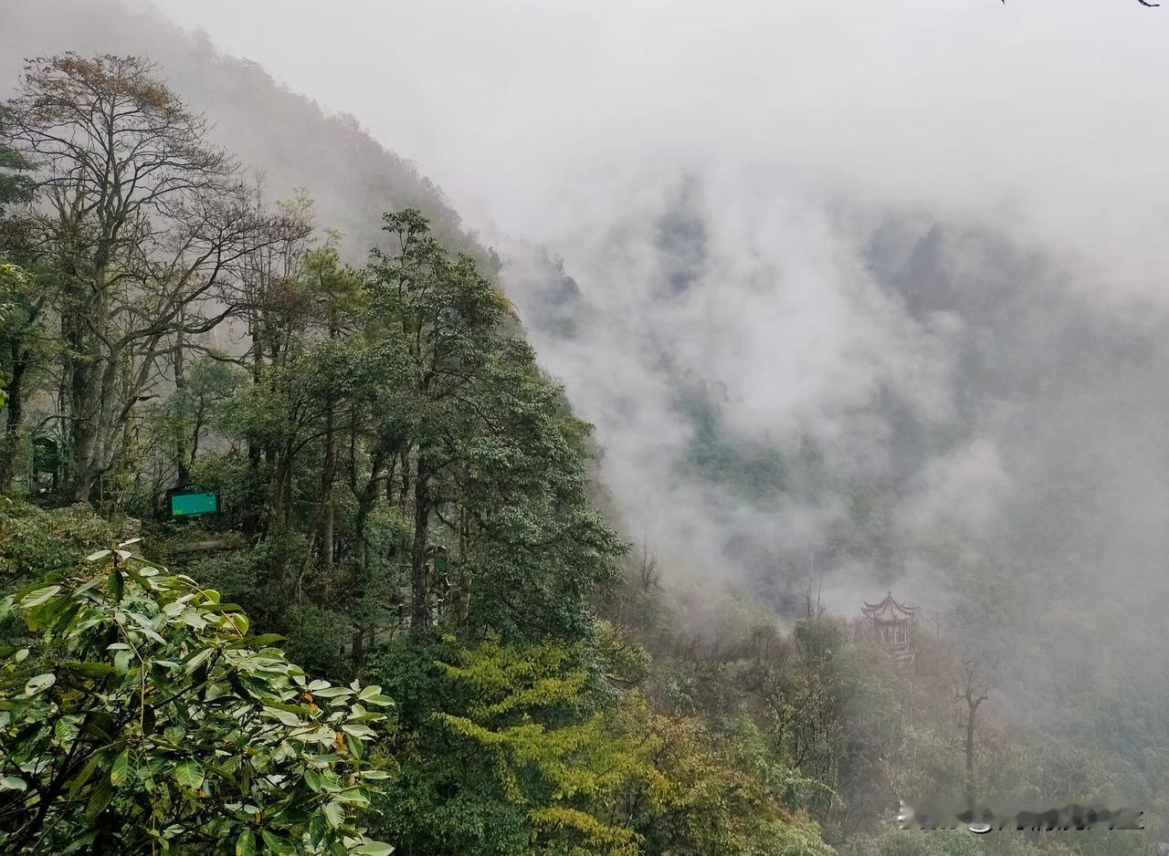 烟雨朦胧中的井冈山，真是美如仙镜。
群山叠幛，云雾缭绕，似水墨画，又如人间仙镜。