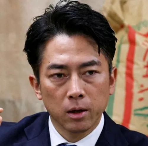 共同社报道，当地时间12日，日本现任农业担当大臣小泉进次郎表示，他将出马参与即将