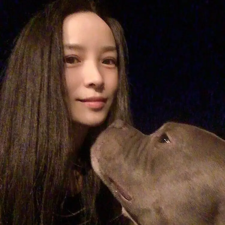 夜晚那么黑