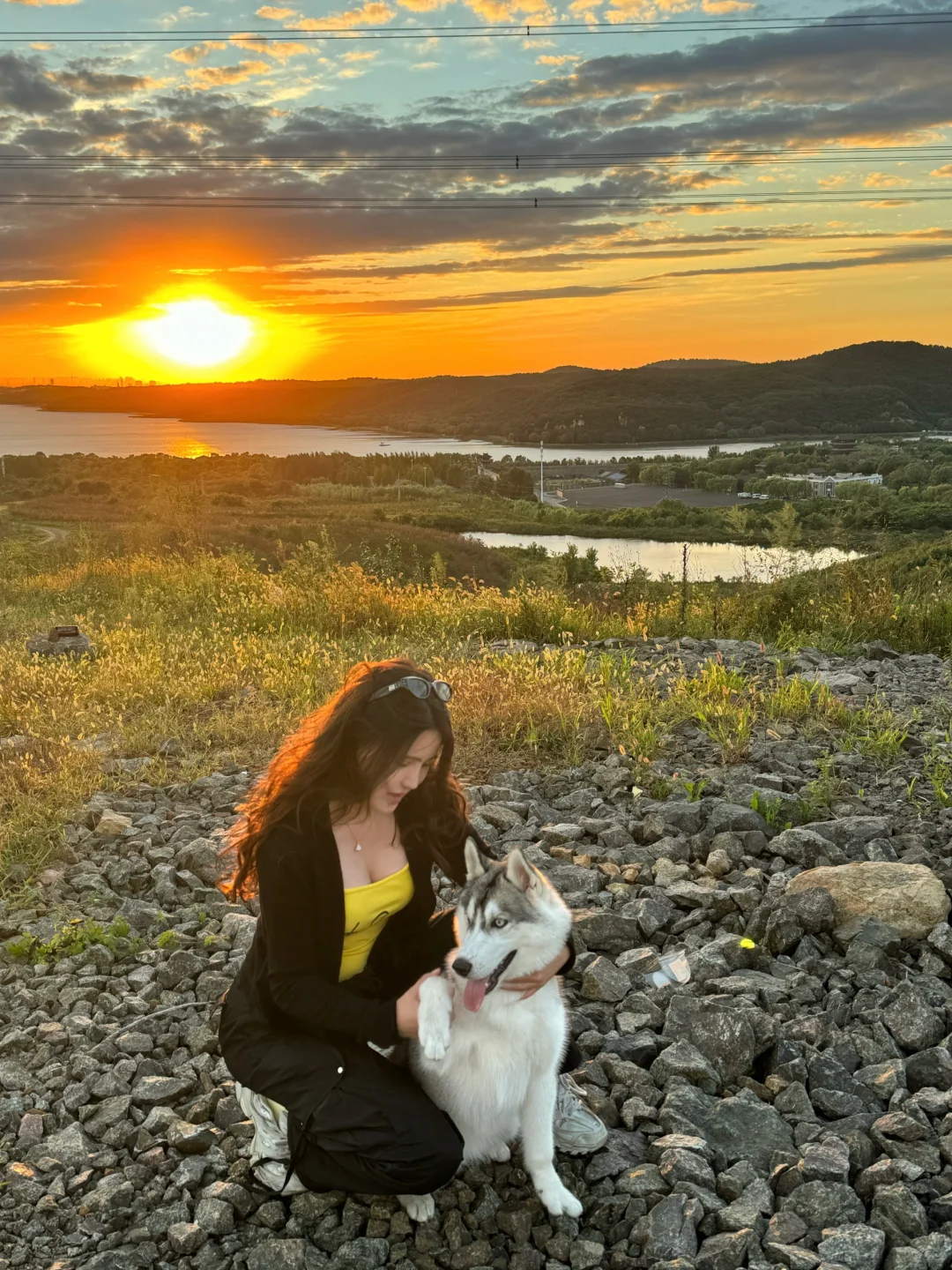 和哈士奇拍到了狗生照片