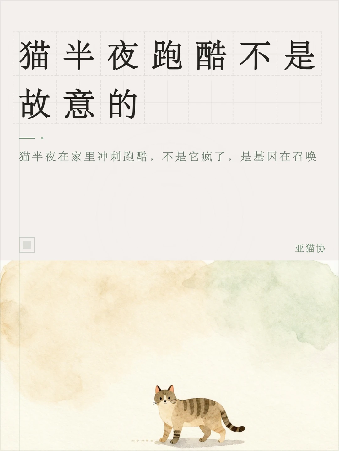 猫半夜跑酷不是故意的
