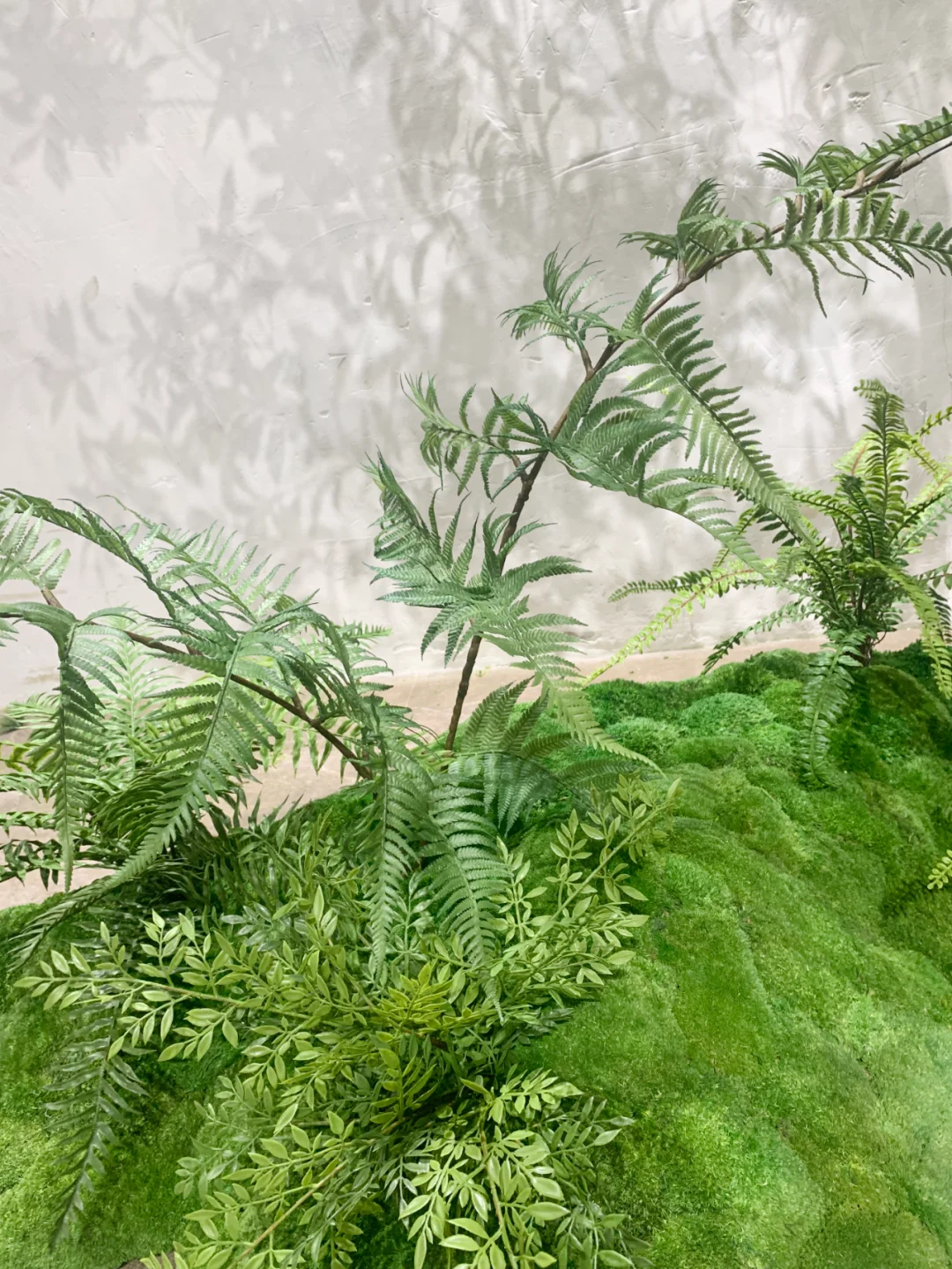 仿真马醉树，室内绿植景观