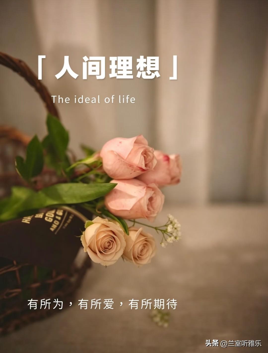 🌷人间理想：有所为，有所爱，有所期待。
 
不必追赶别人的脚步，
只要一直在变