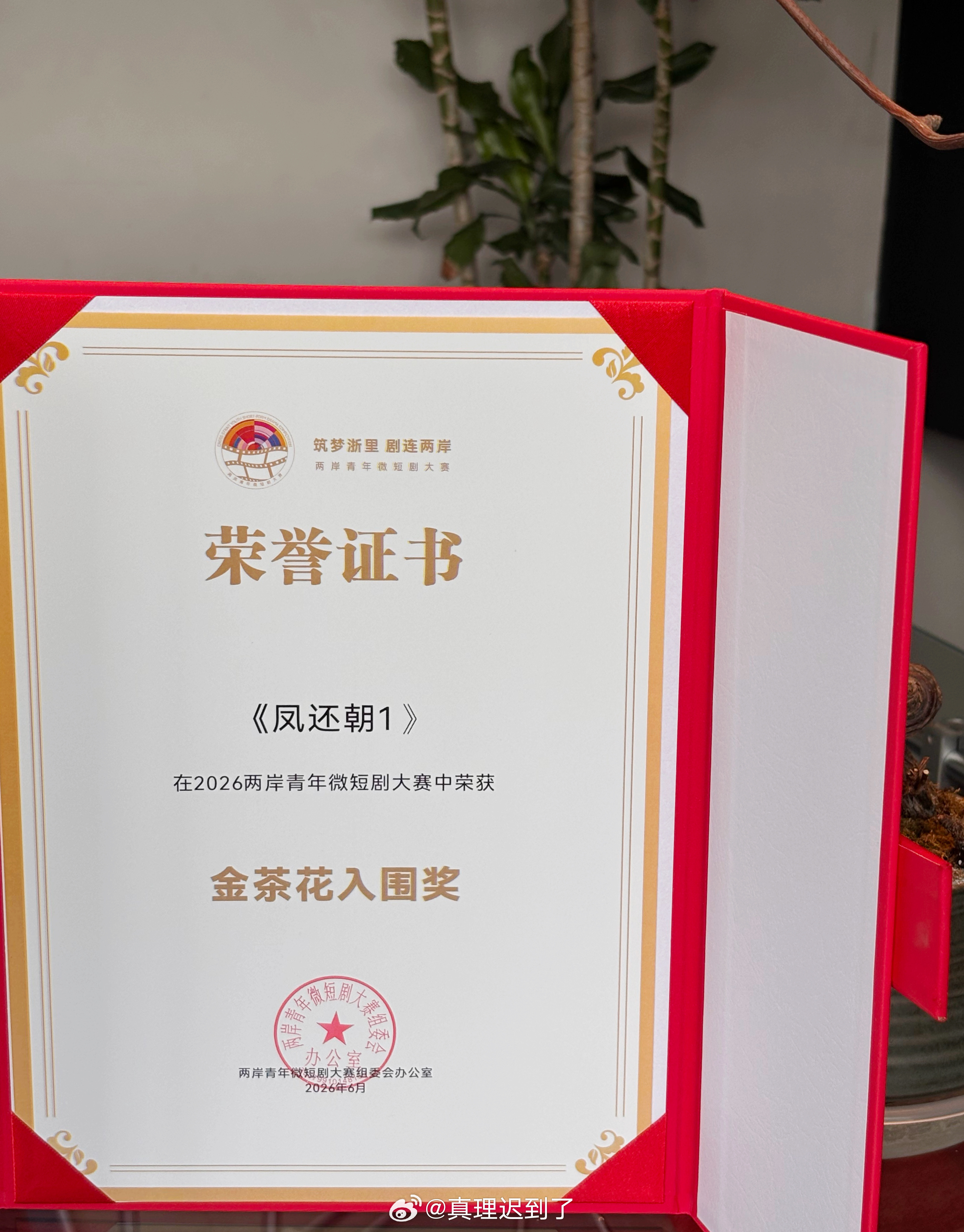 恭喜王格格 刘润铭 王钧浩 张亚奇的凤还朝1 在2026两岸青年微短剧大赛中荣获