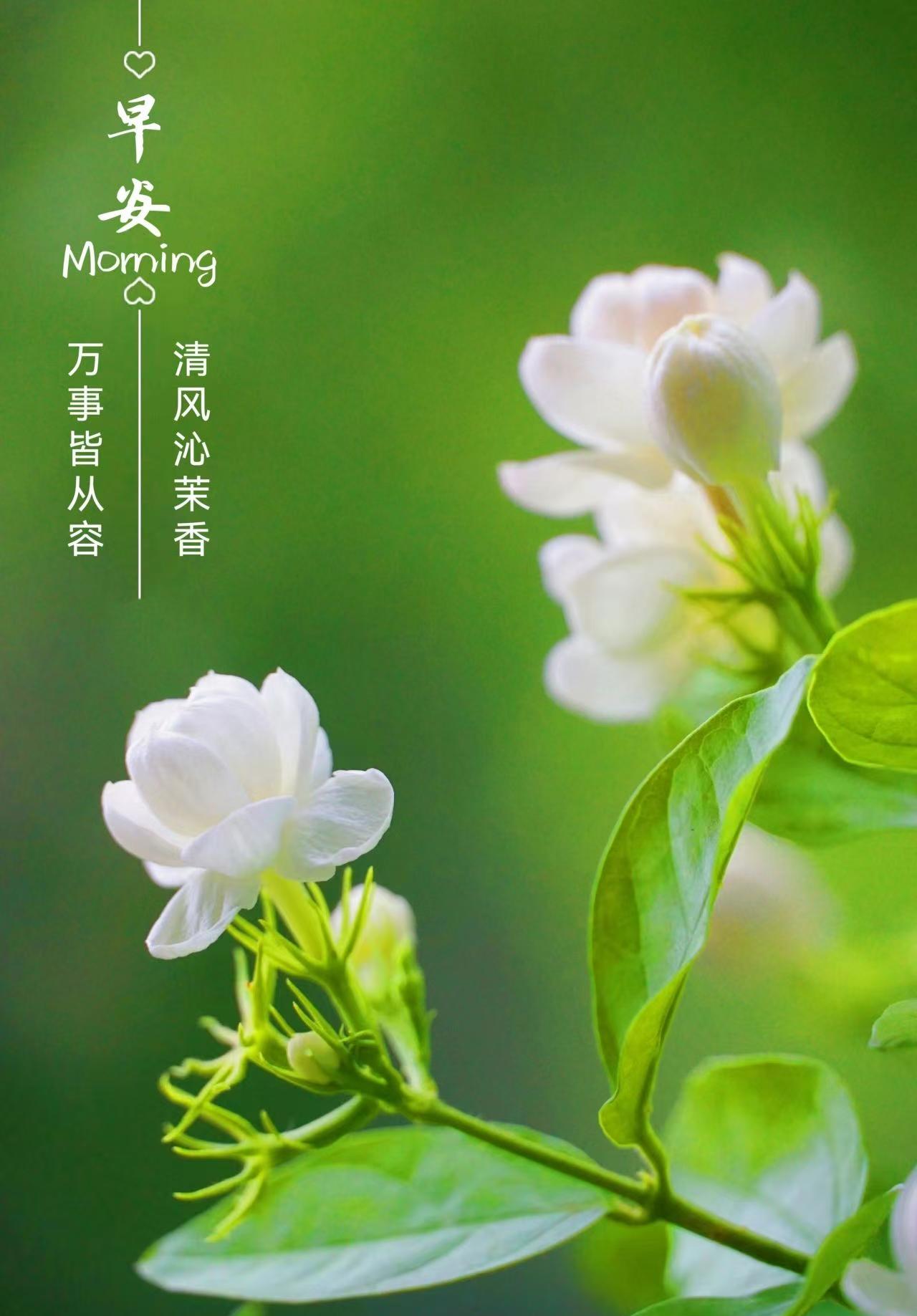 退休的中老年朋友，你们关心养老金吗？那天我在小群里问了一下，今年养老金调整的文件