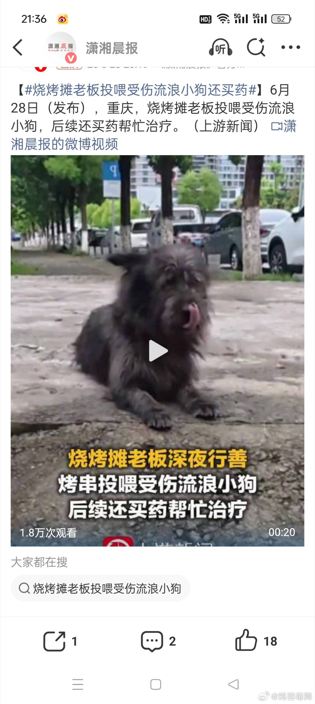 烧烤摊老板投喂受伤流浪小狗还买药实在是太有爱心了，不光投喂还给小狗买药，希望更多