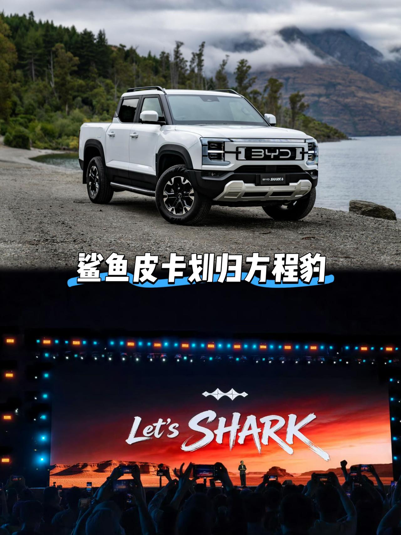 迪子这一招背后必有高人指点
众所周知鲨鱼皮卡在海外市场卖爆了
而国内皮卡卡友一直