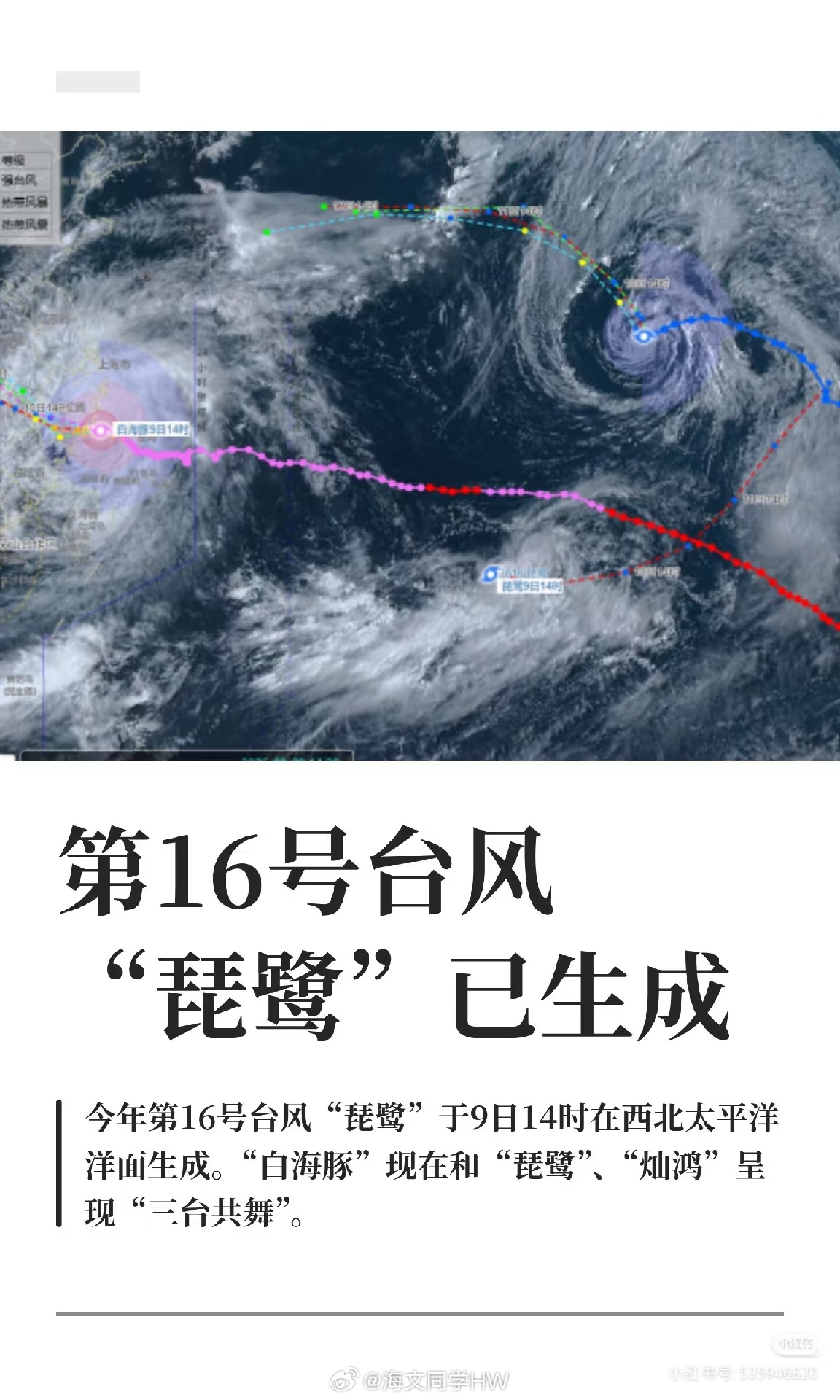 白海豚来了个回马枪再度冲击江浙沪白海豚又杀回浙江了💢我就说，怎么雨越来越大，后