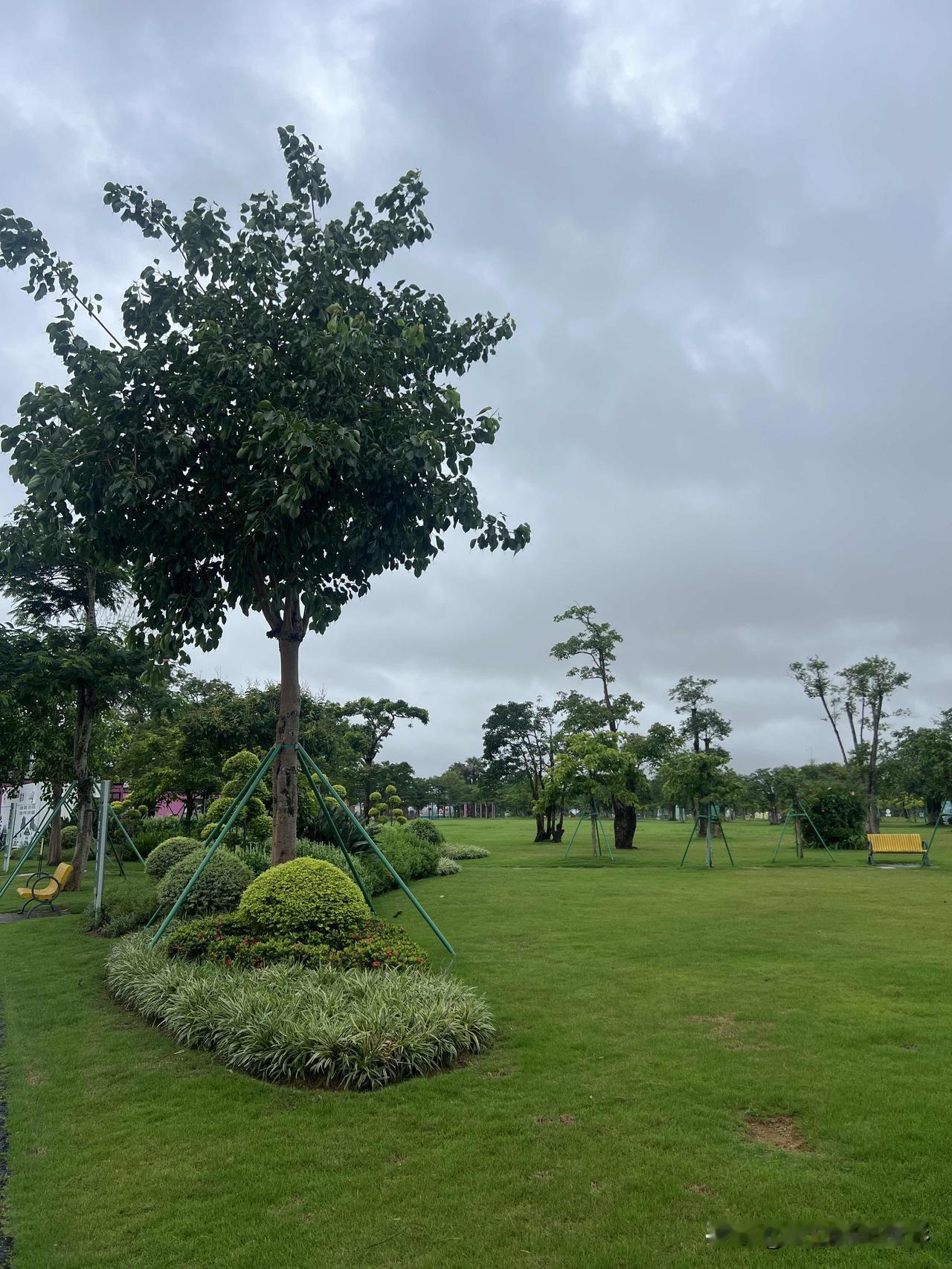 花甲夫妻想珠海养老，是买房居住还是租房？养老优选在哪里呢？一时纠结拿不定主意
