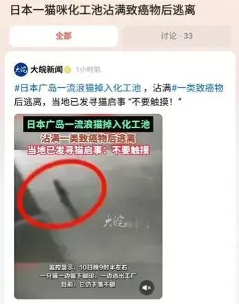 细思极恐！日本的一只流浪小猫咪扛下了所有，它居然占满致癌物后逃走！它会不会出事？