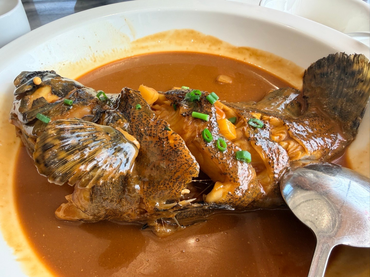 宁波的兄弟们，你们收入多少我发现了  只要跟海鲜有关吃顿饭就老鼻子贵了看看今天吃