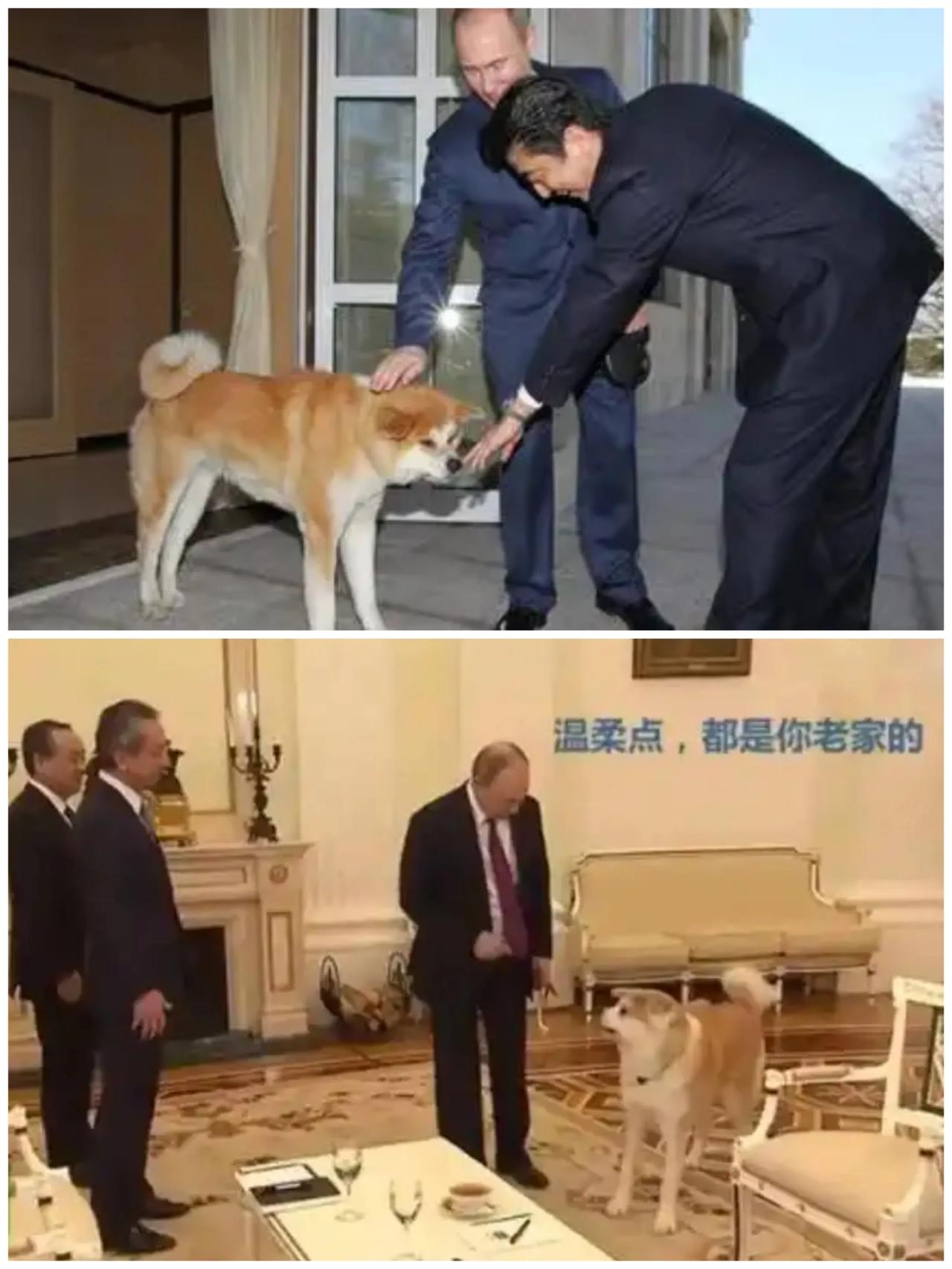 只需要几秒钟看完你发现很有收获……

第一张图：日本前首相安倍晋三在任期间，日本