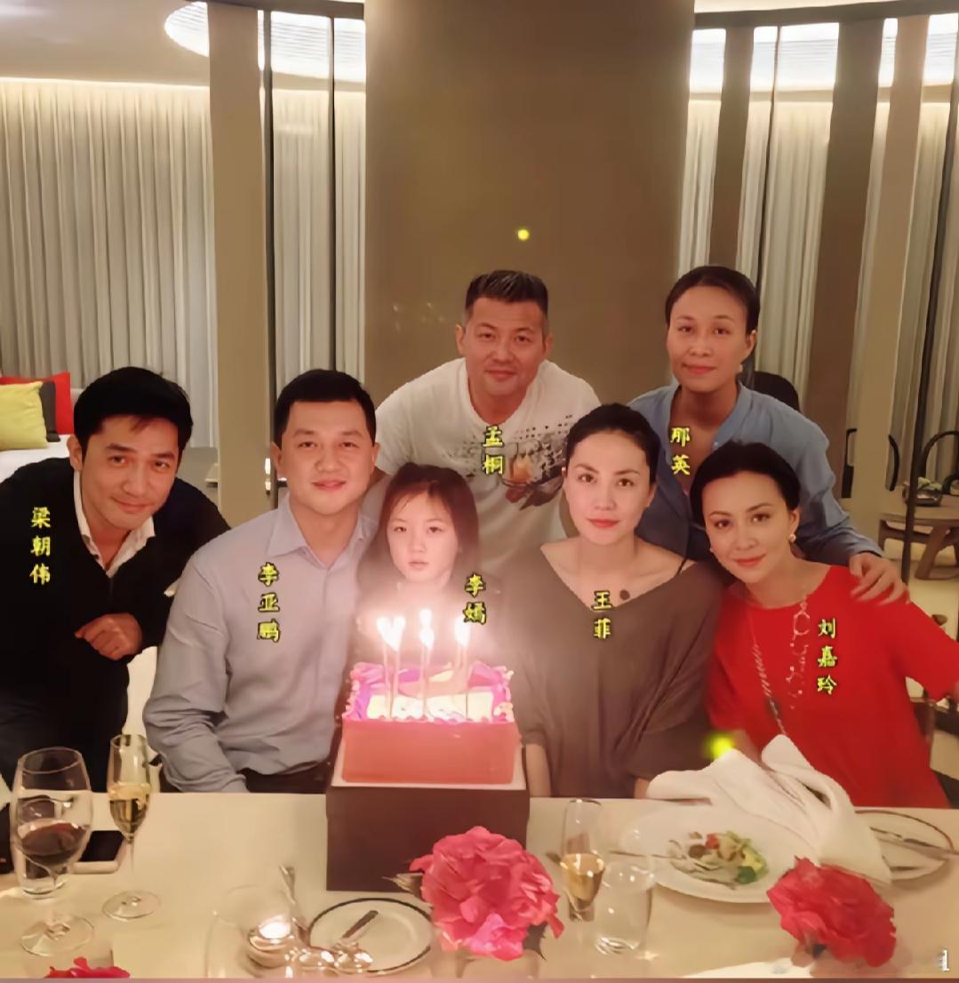 李亚鹏王菲李嫣原本是好幸福的一家三口