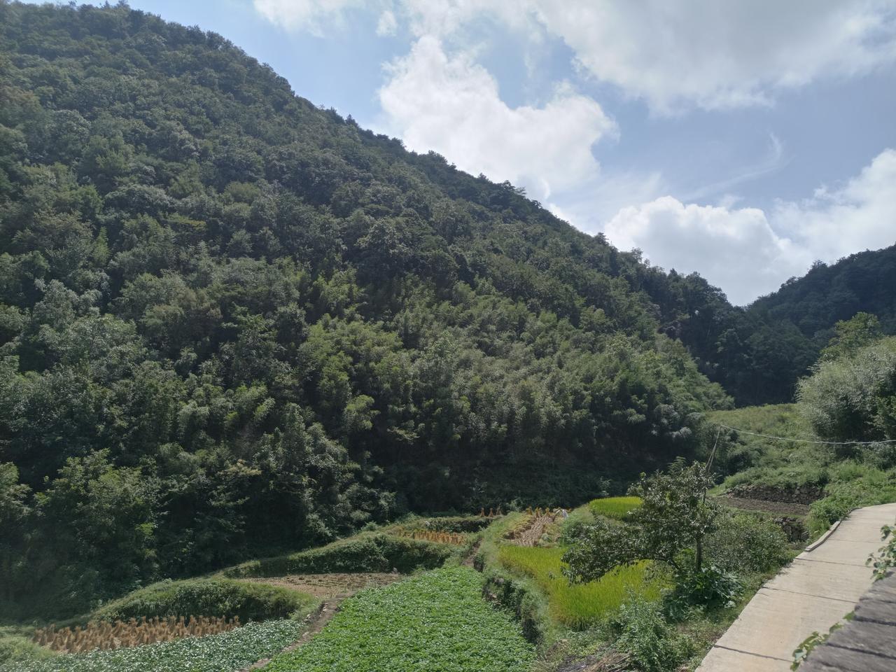 晒一晒手机里的风景照！




用手机拍摄风景照片是分享美丽瞬间的好方式。以下是