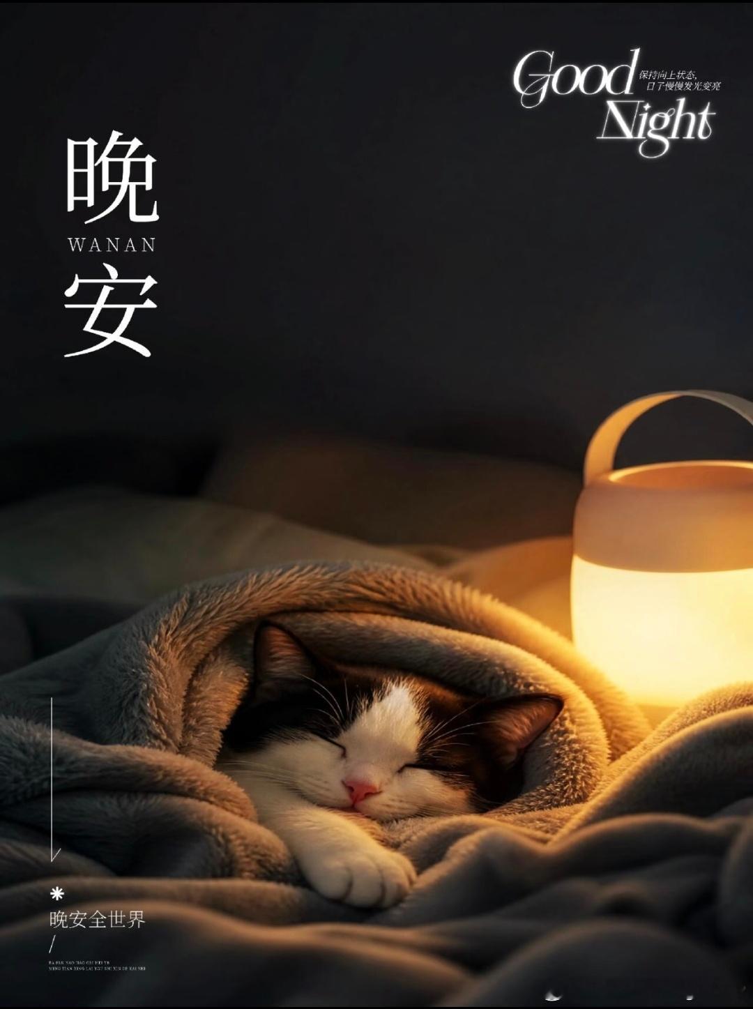 晚安 ​​​