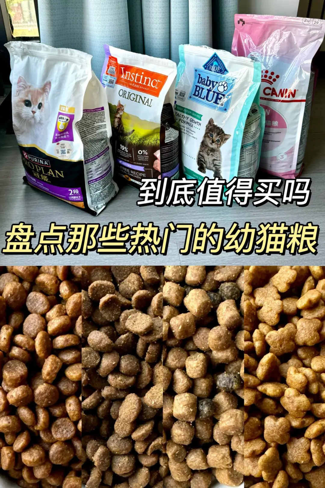 盘点那些热门的幼猫粮，到底值得买吗