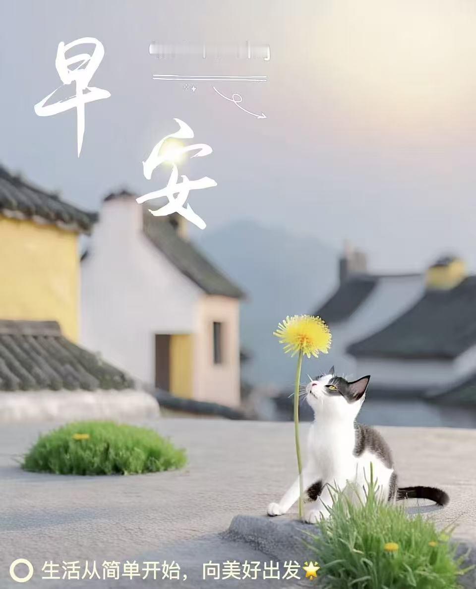 早安 突破，靠的是初生牛犊不怕虎的冲劲，还有滴水穿石、久久为功的坚 。 