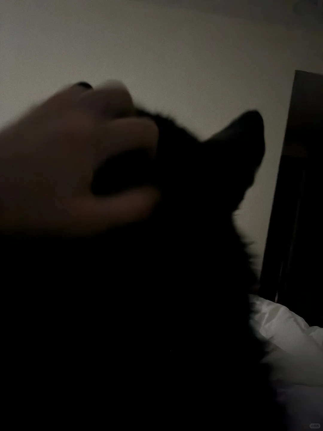 起猛了 看见一座山