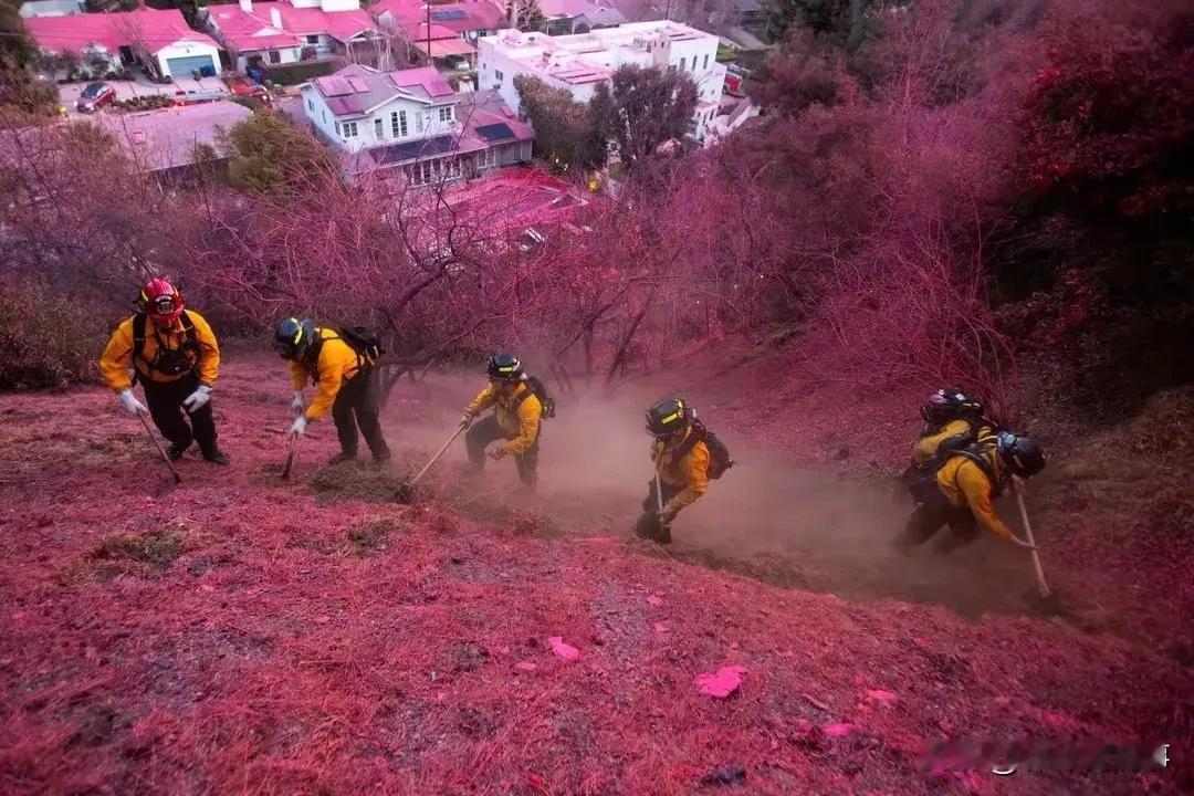 美国新型灭火粉，百姓全部慌了！

没想到，美国看到洛杉矶熊熊大火，终于熬不住了，