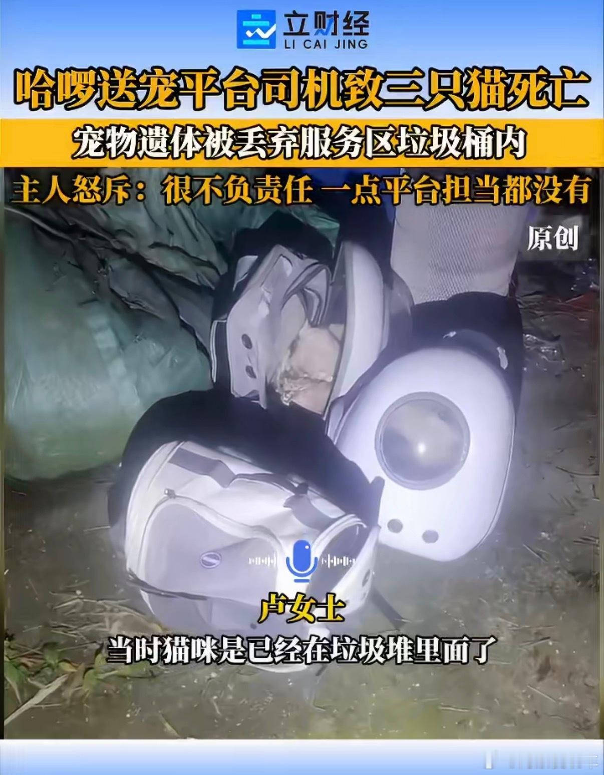 托运3只猫全死亡尸体被扔垃圾堆就这还是宠物专车，付费占座和拍照服务只是白送钱？花