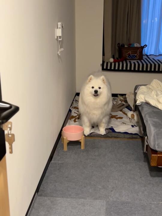 “下了班💼就早点回来哦”