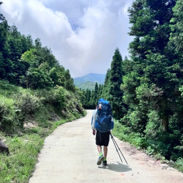 山顶的猪
