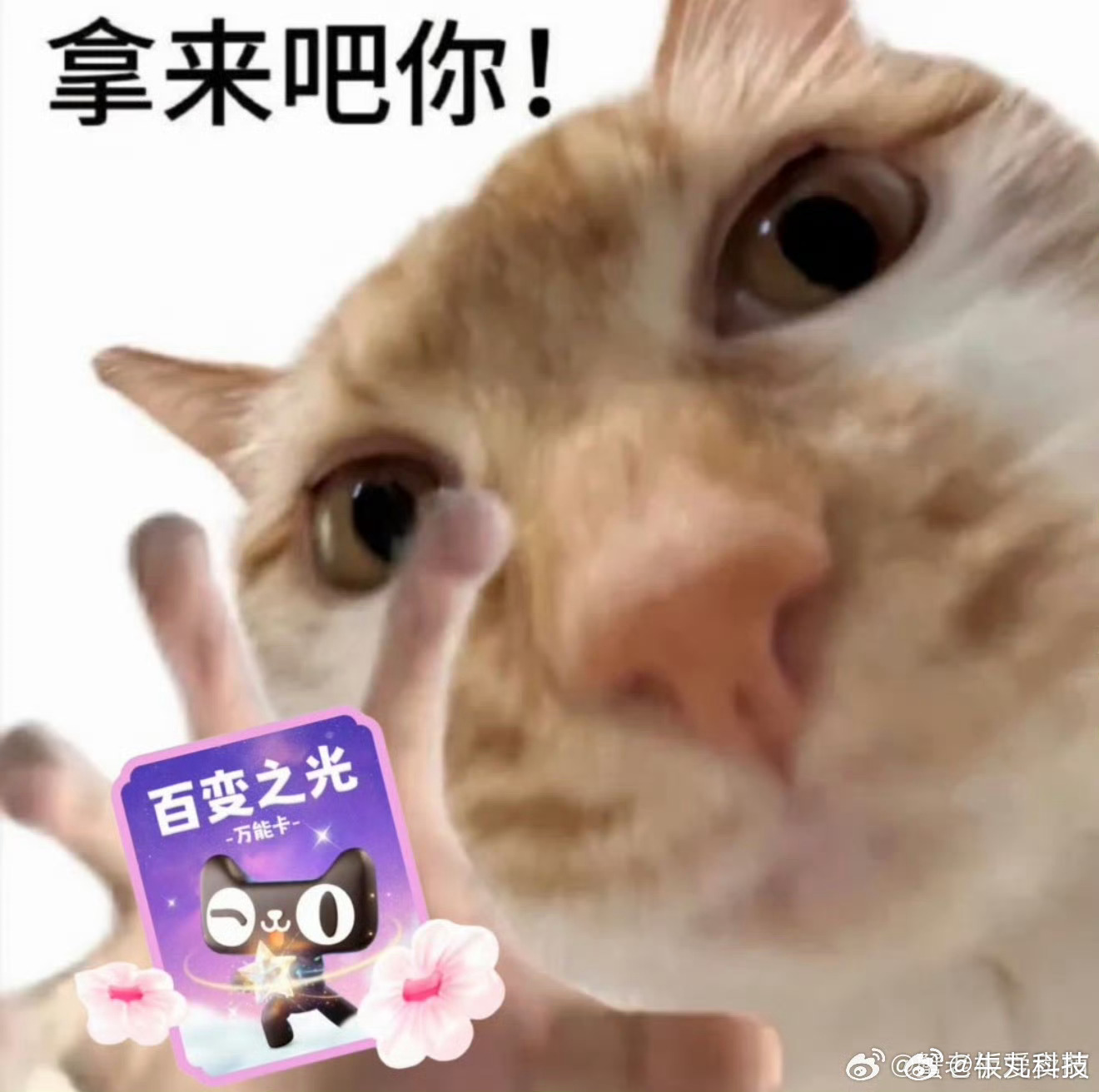 全微博开抢百变之光集合，同学们！快来参与天猫×微博集卡活动呀！今天女神节福利炸场