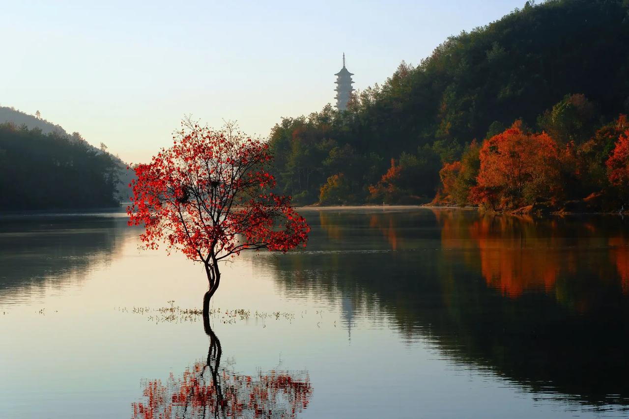 一个朋友家的孩子考取了上海中学，前段时间刚好路过这个地方，学校表面上看上去其貌不