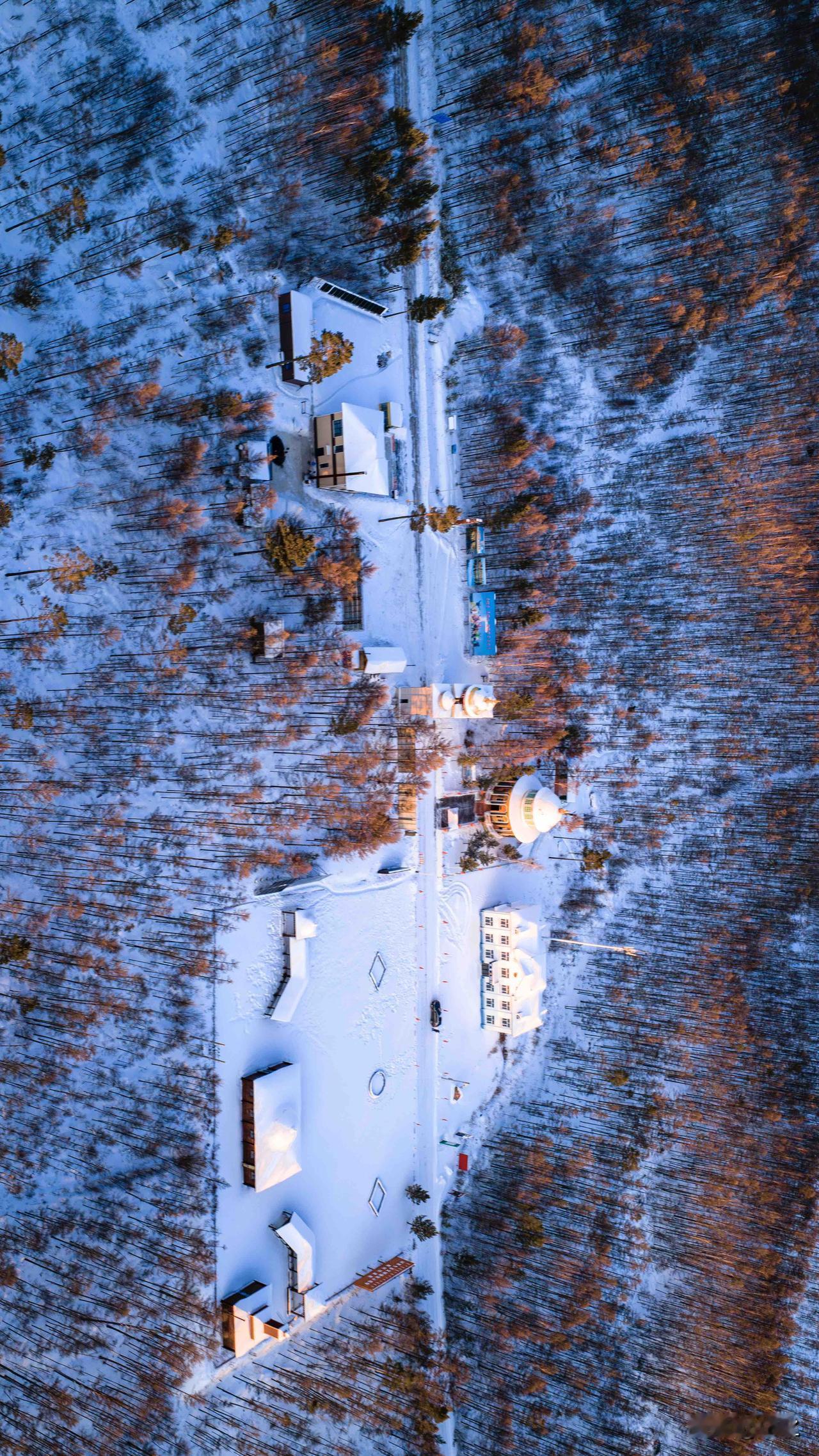 分界点，落日时刻
冬日的大兴安岭林区，在黑龙江与内蒙古交界处，夕阳的余晖悄然为雪
