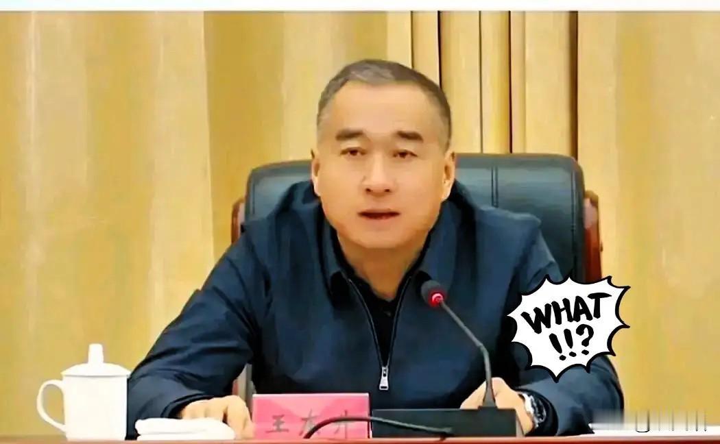 朋友圈里全是问号，
王东升被查这事儿，
真让人有点缓不过神。那个天天顶着安全帽跑