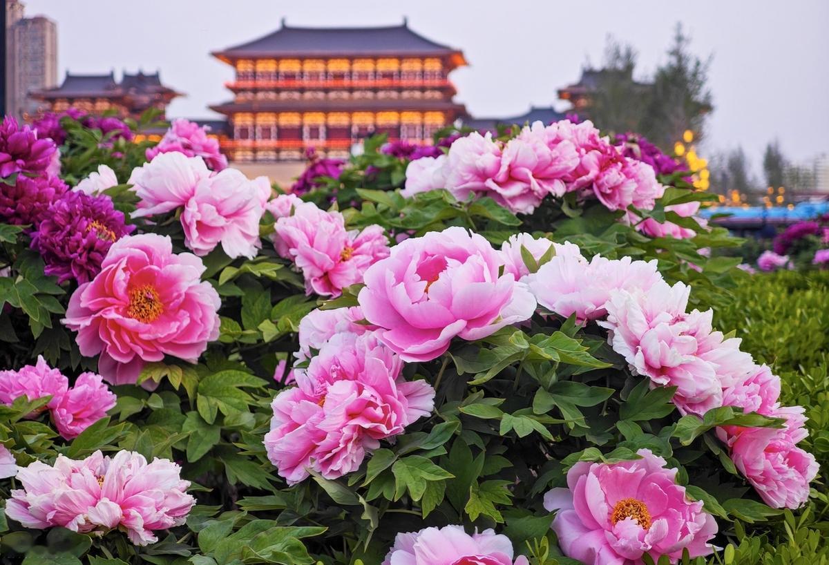 有些事情，无论你如何努力，你想要的结果都不可能出现，不是因为你运气不好，也不是因