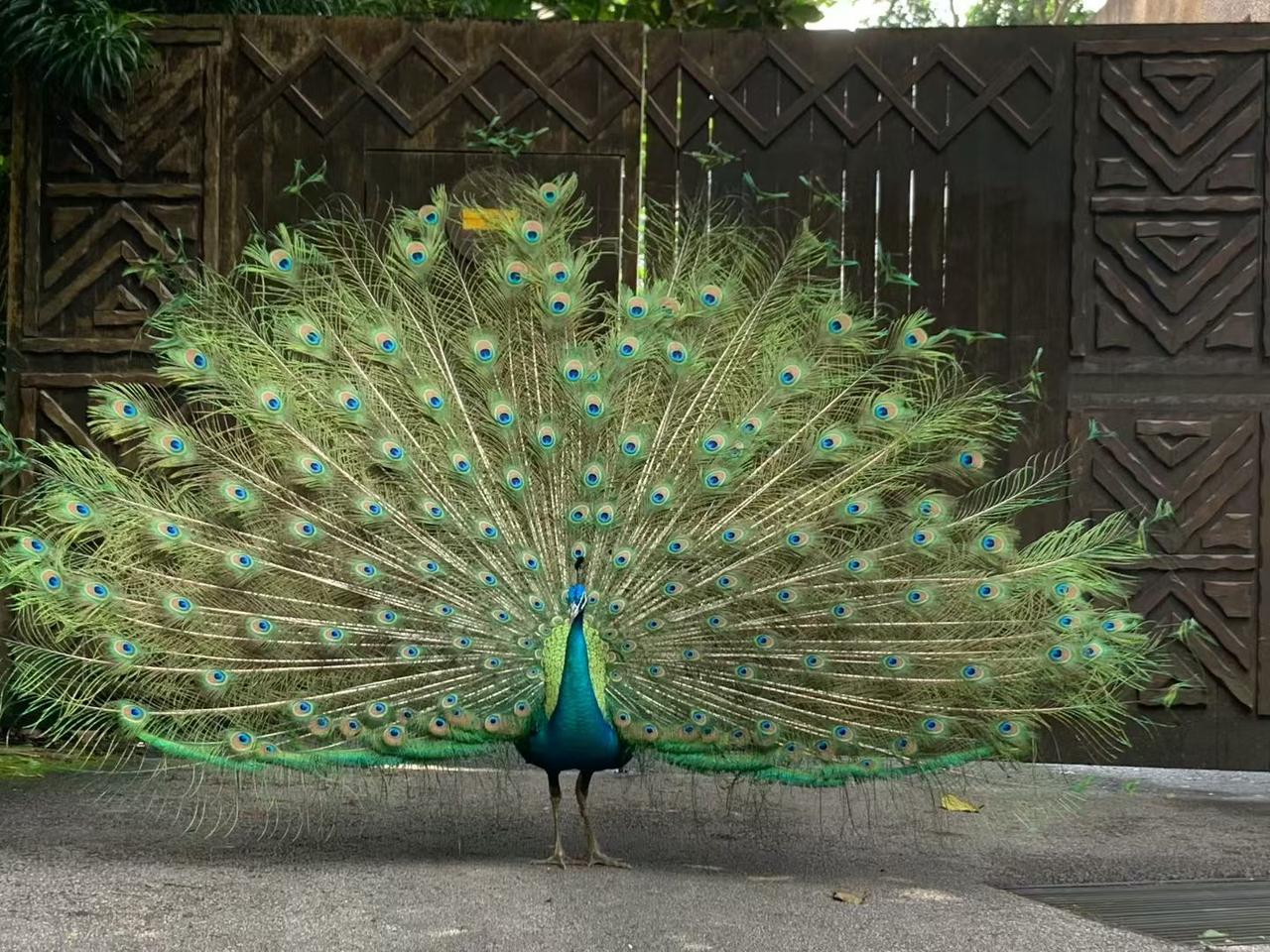 芯片将决定谁是老大！世界大战 
   煤炭、石油、钢铁曾经定义过大战，而今天，晶