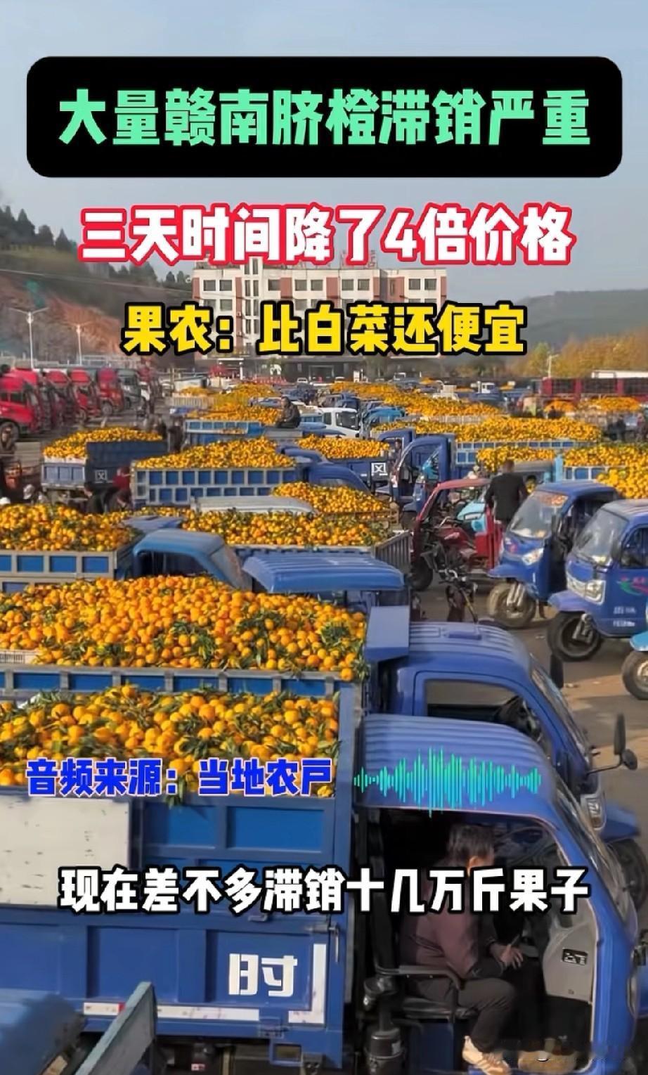 江西赣南脐橙遭遇销售寒冬，零售价堪比白菜价
最近几年，水果市场也是风云变幻，很多
