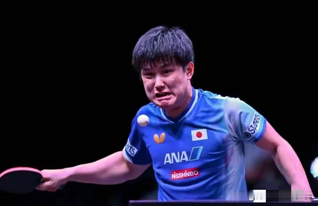张本智和蛮可怜的
世界上大概没有一个乒乓球选手比张本智和更可怜的了，因为他输了球