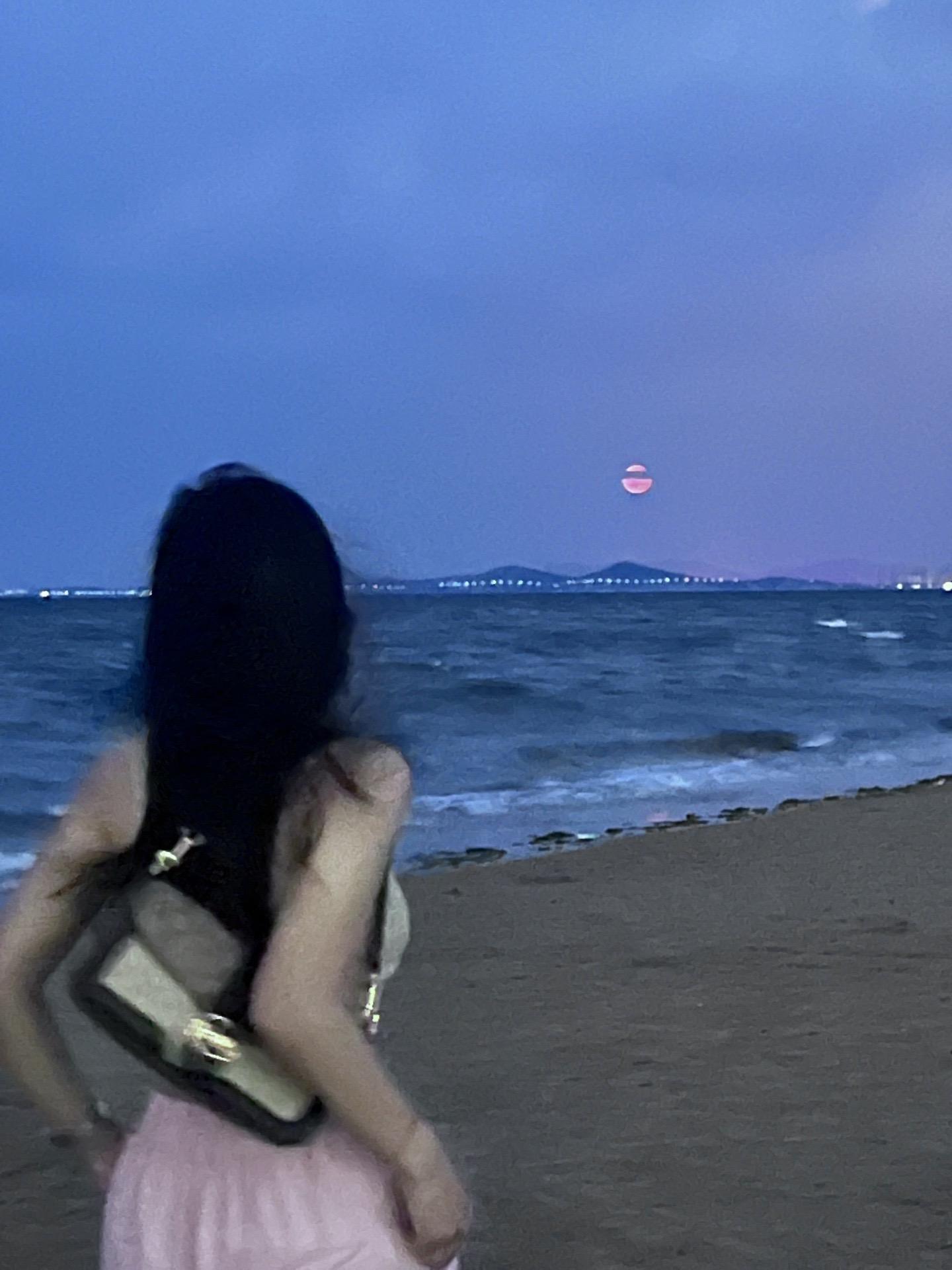 没见过舔狗 可以帮忙艾特一下嘛