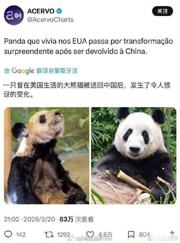 论回城券的重要性，玩过游戏的都知道，回城是保命的底线 