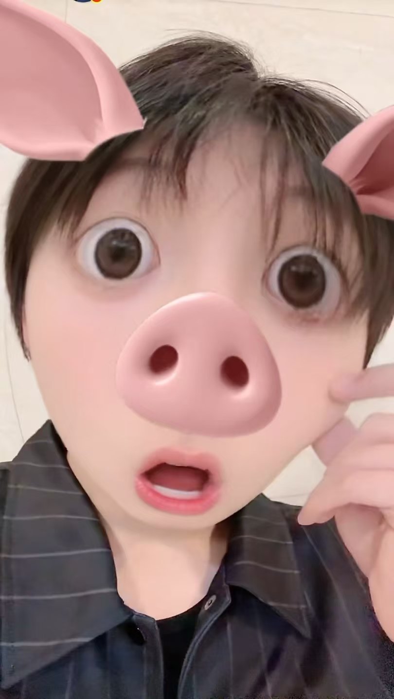 朱志鑫变猪猪鑫朱志鑫变猪志鑫 可爱的猪猪鑫晚安啦 