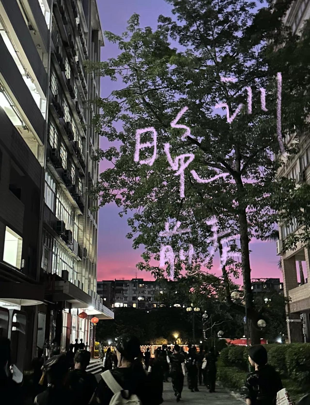 欢迎报考广州大学！（桂花岗系列） 不舍得小桂花…😭😭😭广州大学 招生简章大