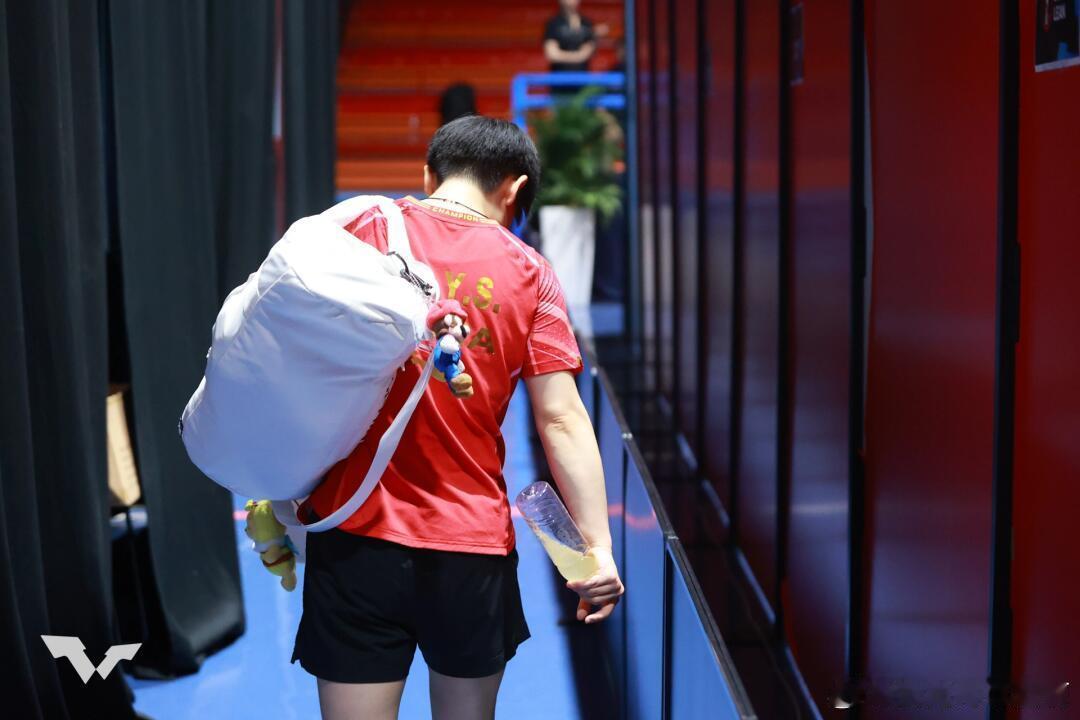 两张背影莎，是马里奥和马里奥女士 