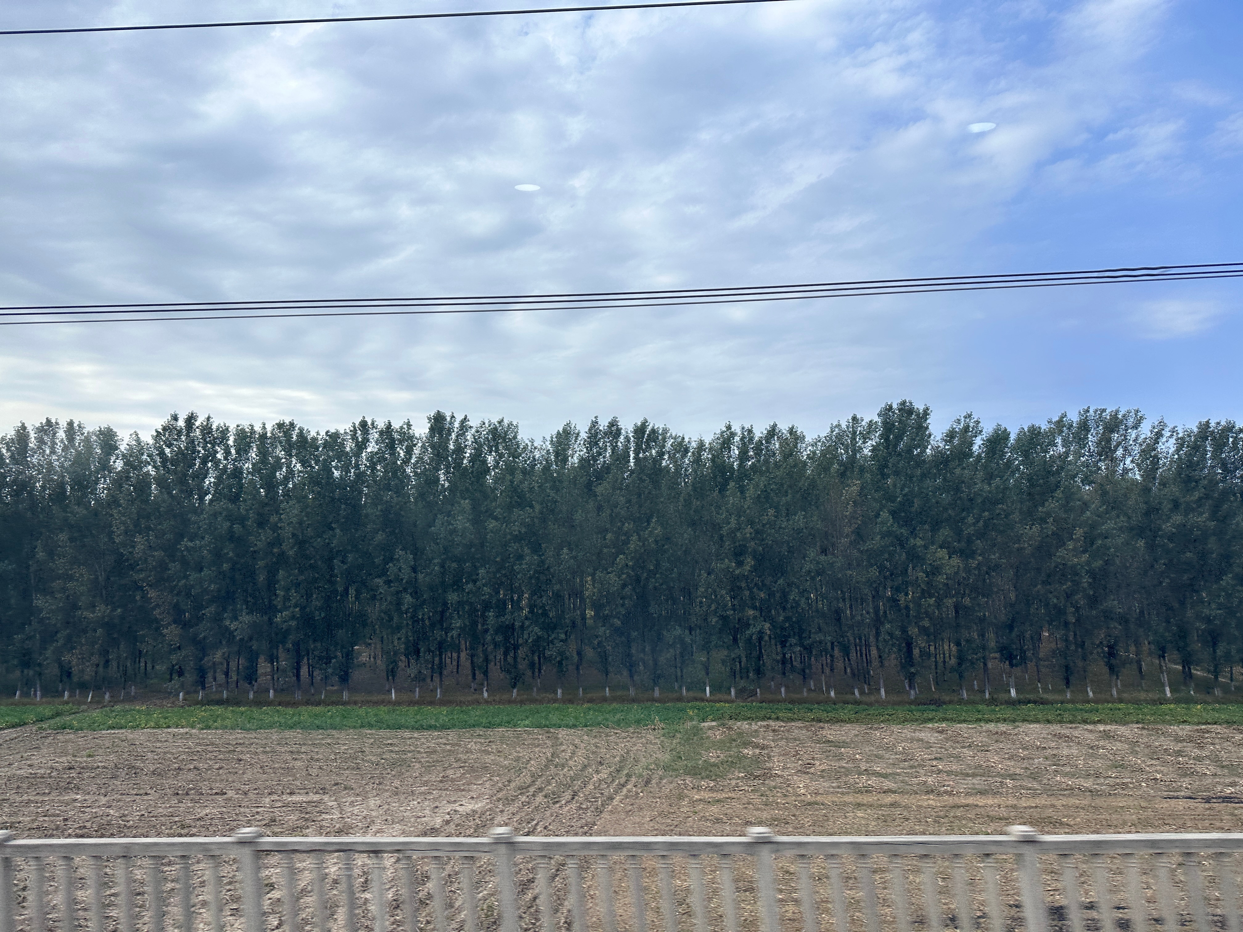 没有专机，京沪高铁飞驰中，中国赛季进度条50%[耶]10点发车，两点半到，预约了